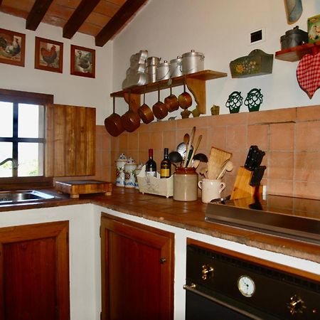 Appartamento Con Patio Privato E Giardino Tra Pisa E Firenze Палая Экстерьер фото